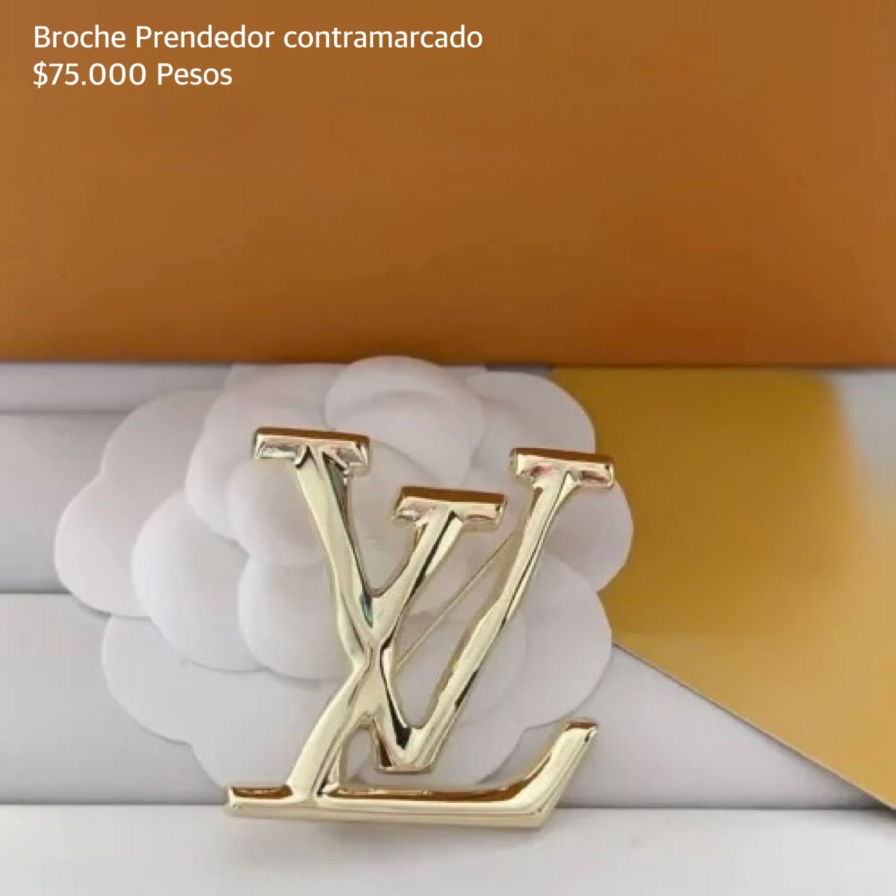 Broche, prendedor