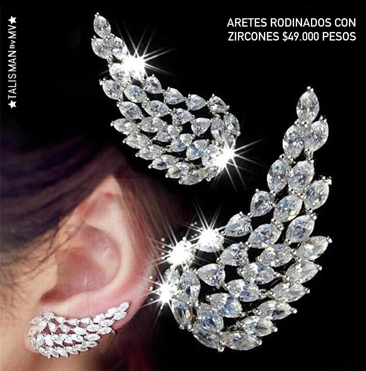 Aretes Alas Rodinadas
